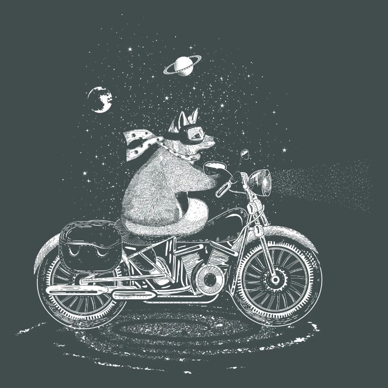 A fox rides a motorcycle