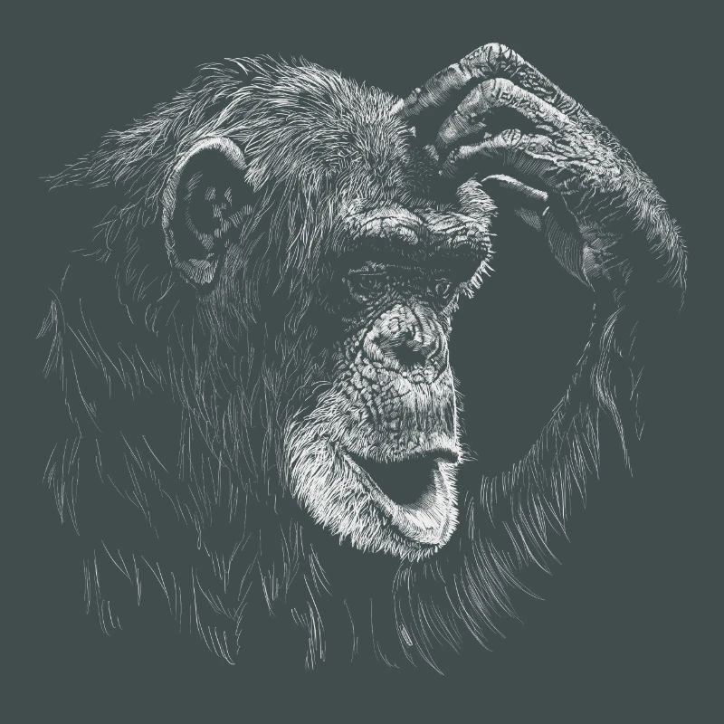 Affe