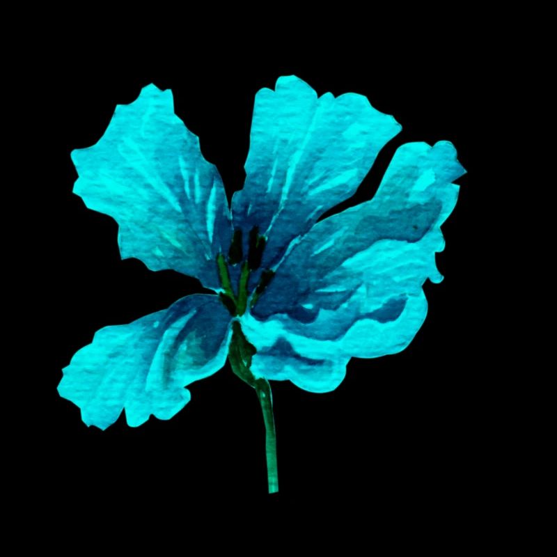 Blume