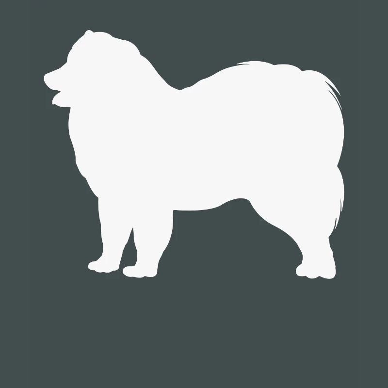 Samoyed