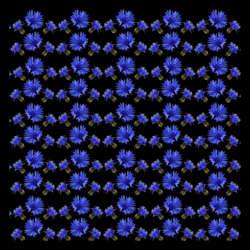 Cornflower Pattern, Gift Woman