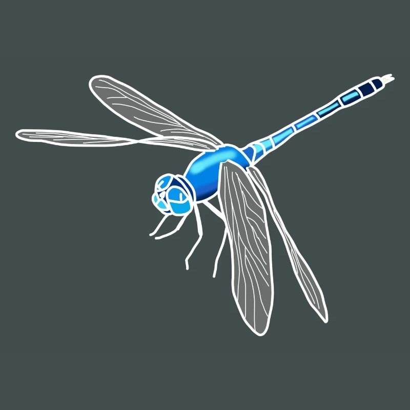 Libellule