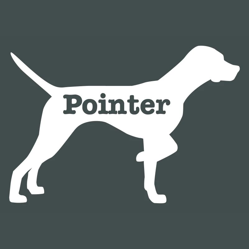 Pointer