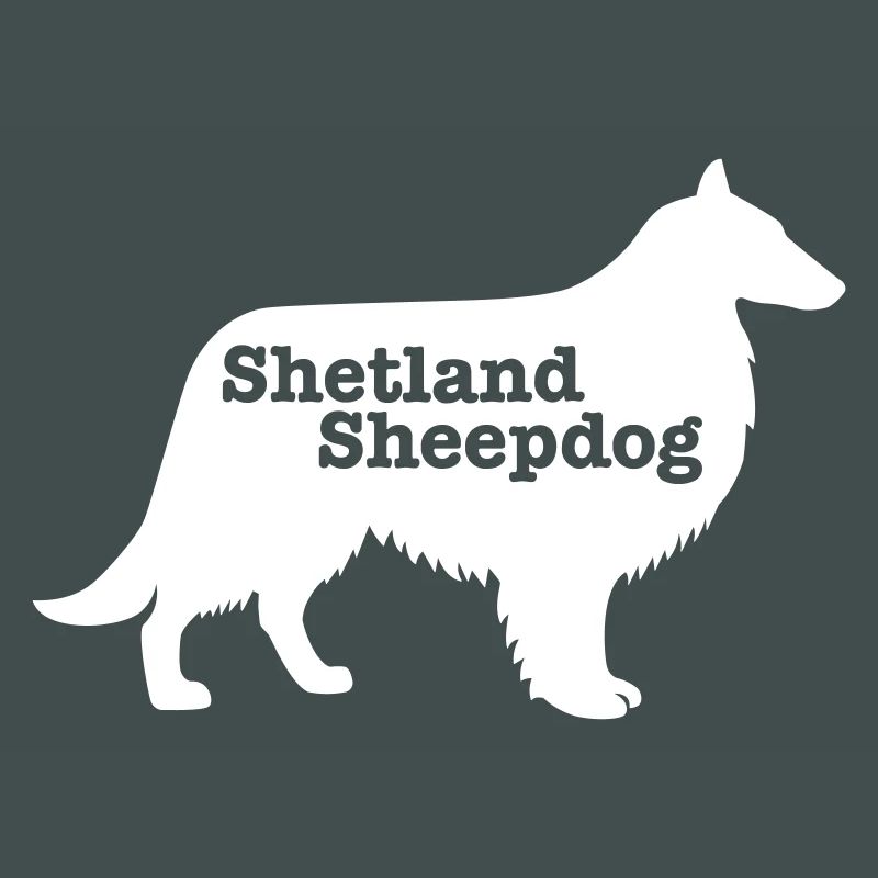 Shetland Sheepdog