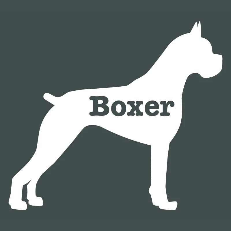 Boxer
