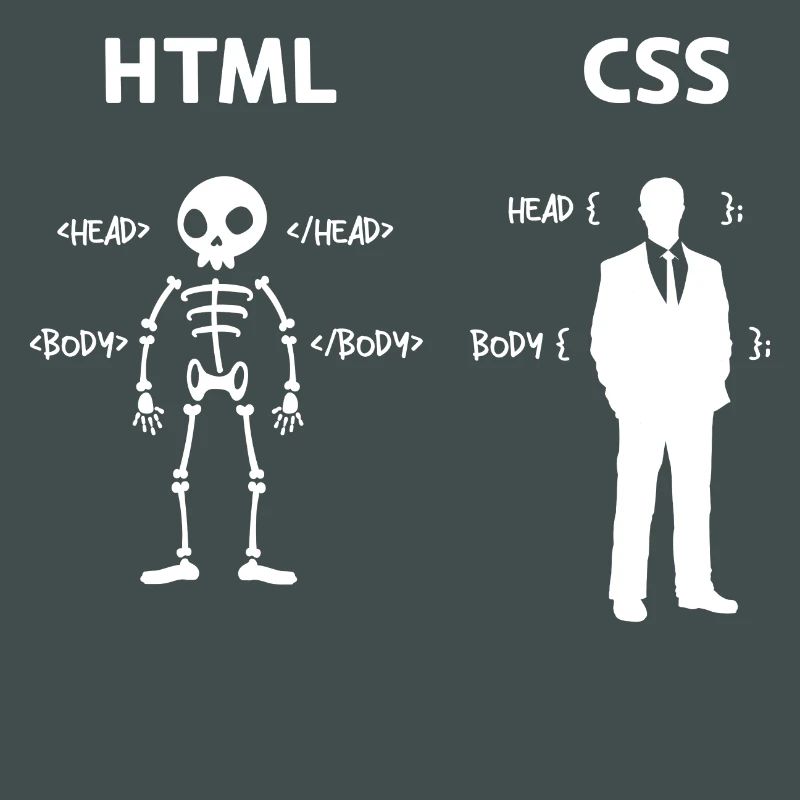 Code Css C++ Php Java Développeur Code Scripting