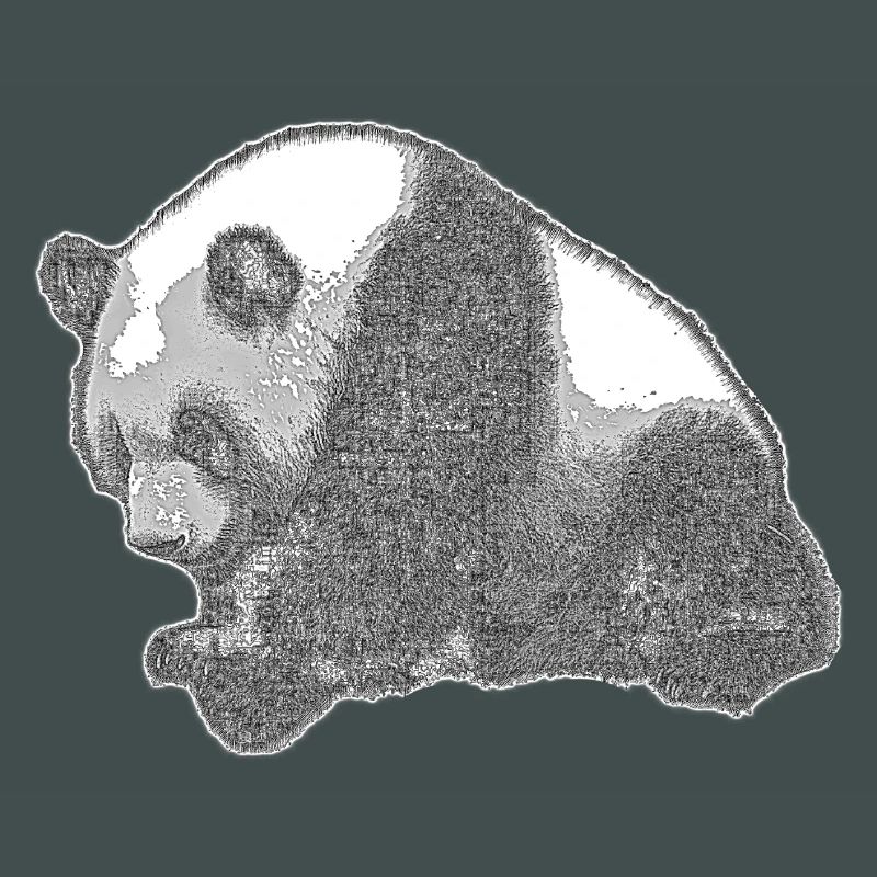 Panda groß