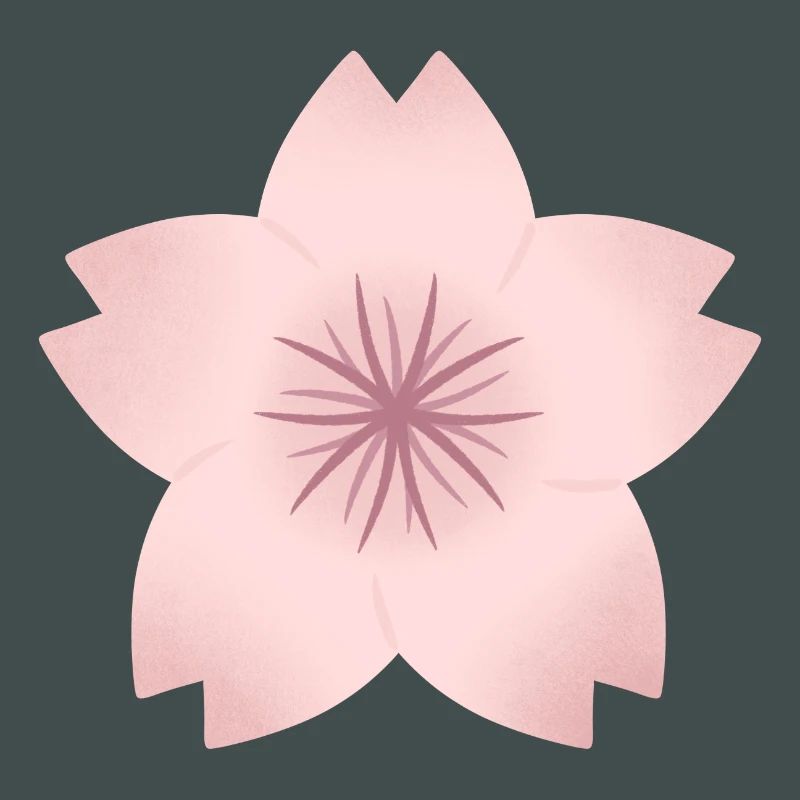 Blush Cherry Bloom