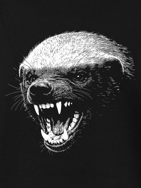 Düsteres Predatorengesicht Honigdachs