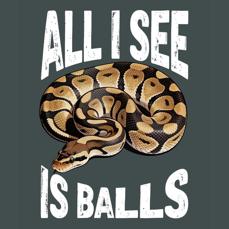 King Python Snakes Lover Terrarium Python