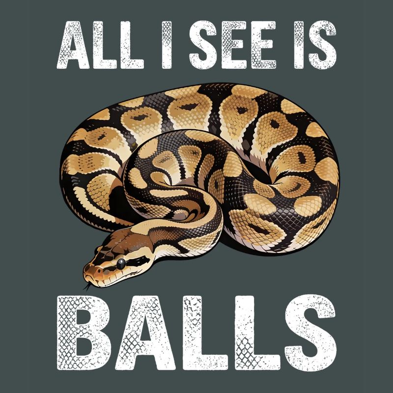 Python roi Serpents Amateurs de terrarium Python