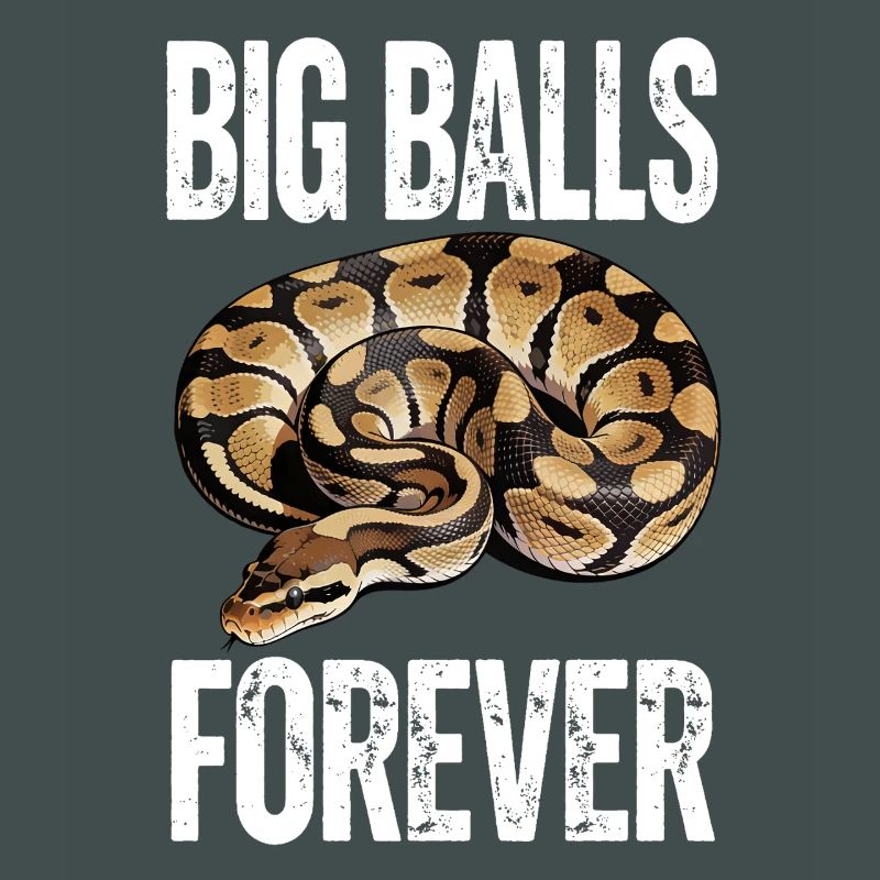 Python roi Serpents Amateurs de terrarium Python