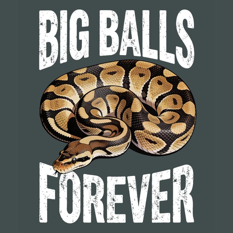 Python roi Serpents Amateurs de terrarium Python