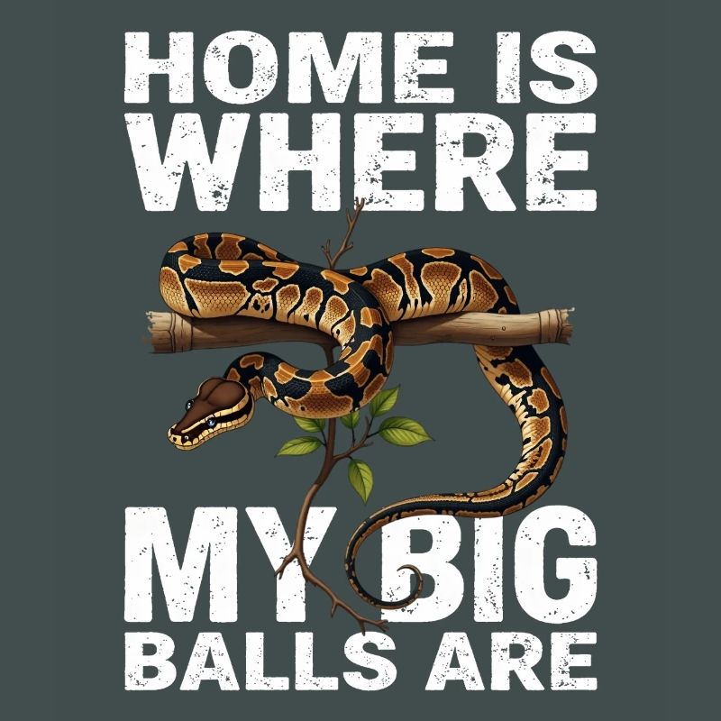 Königspython Schlangen Liebhaber Terrarium Python