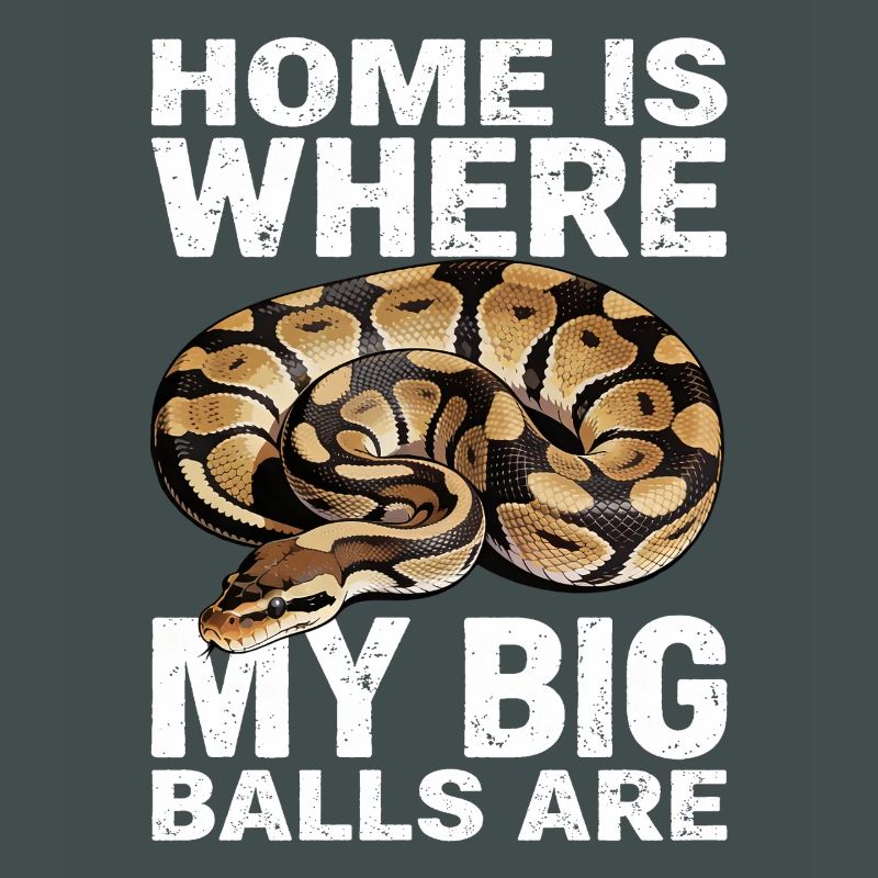 Königspython Schlangen Liebhaber Terrarium Python