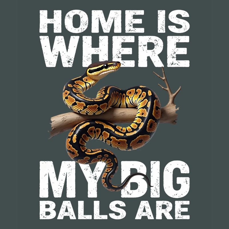 Python roi Serpents Amateurs de terrarium Python