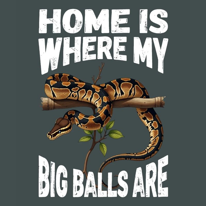 King Python Snakes Lover Terrarium Python