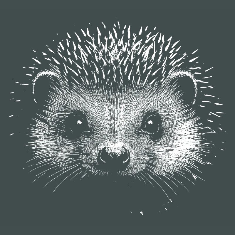 Igel