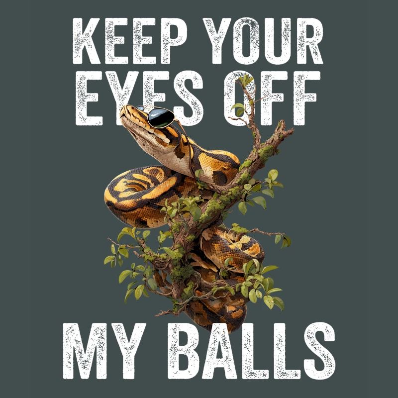 Königspython Schlangen Liebhaber Terrarium Python