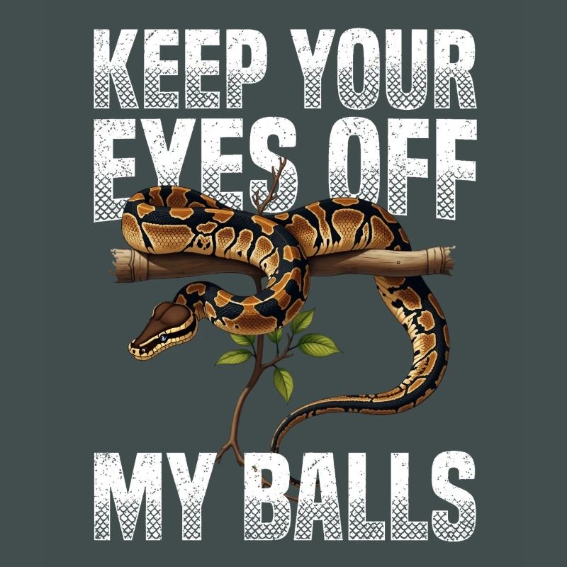 Python roi Serpents Amateurs de terrarium Python