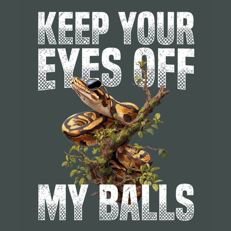 Python roi Serpents Amateurs de terrarium Python