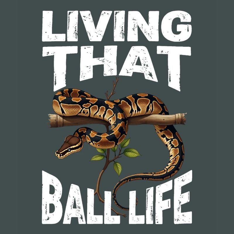 Python roi Serpents Amateurs de terrarium Python