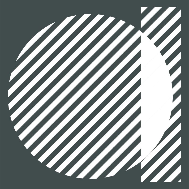 Geometric Stripe Circles Monochrome Pattern