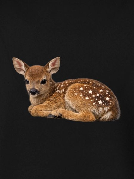 Starspots Fawn