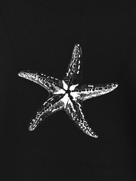 Starfish Sketch Silhouette