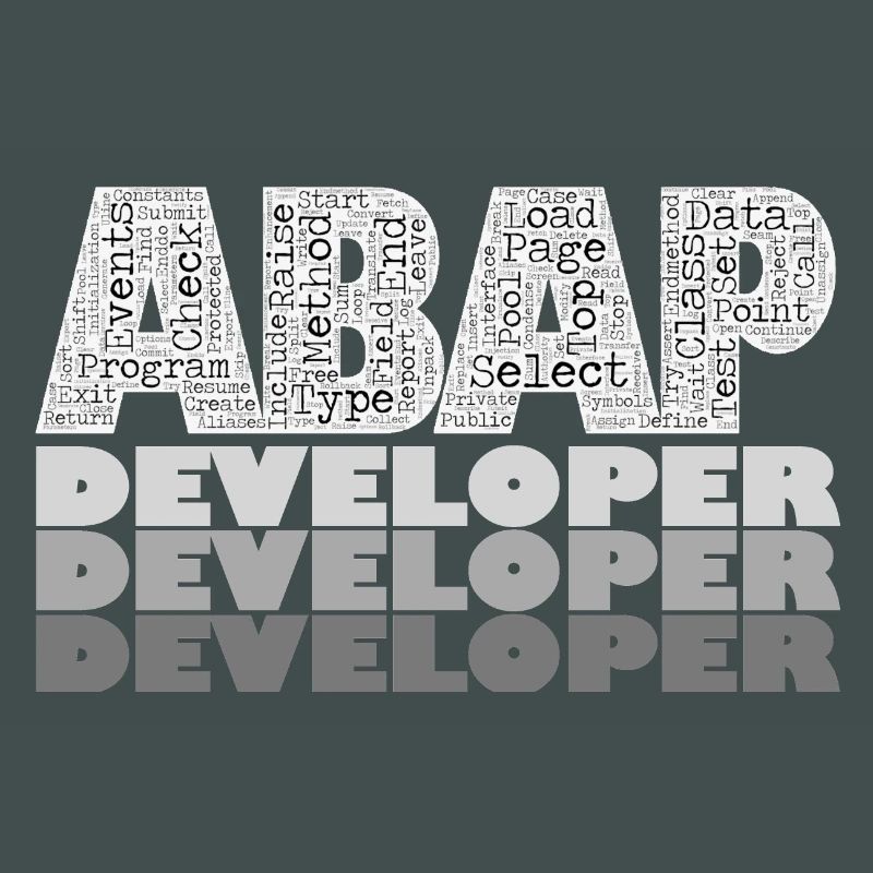 ABAP Developer