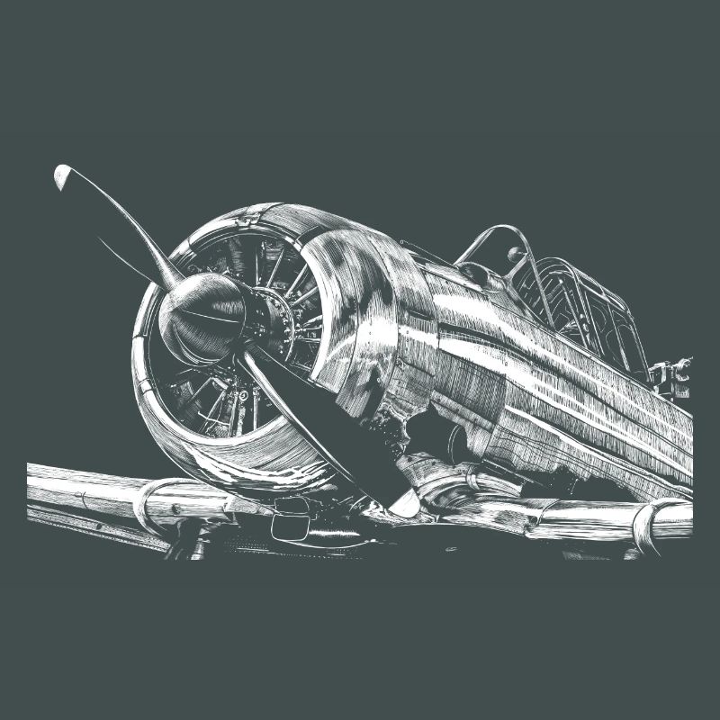 Flugzeug