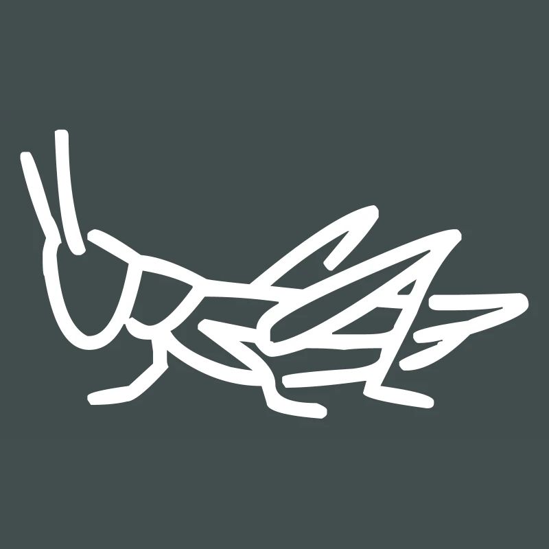 A grasshopper