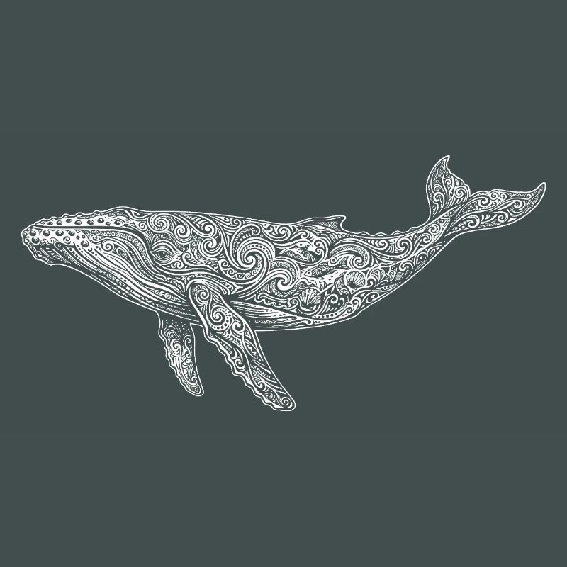 Humpback whale