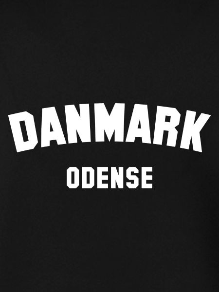 ODENSE Denmark Dänemark