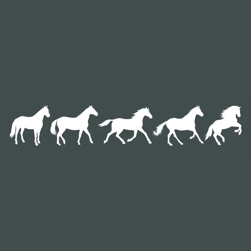 ! Evolution Pferd in Bewegung