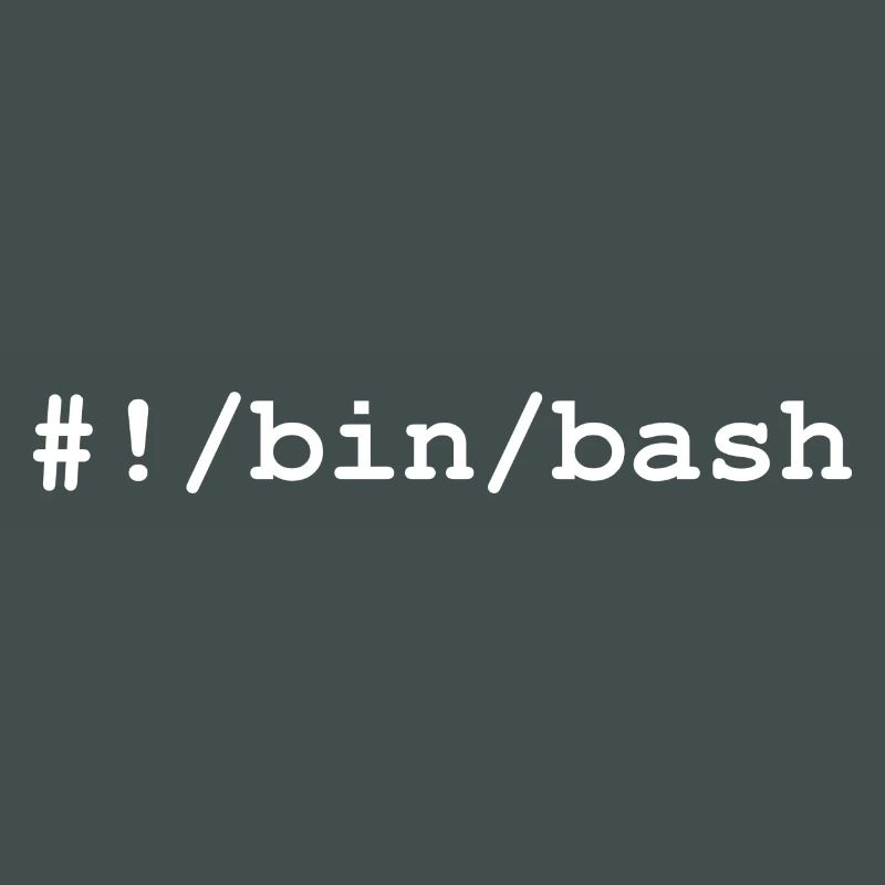 Bash / Bourne-Again Shell in Linux and Unix