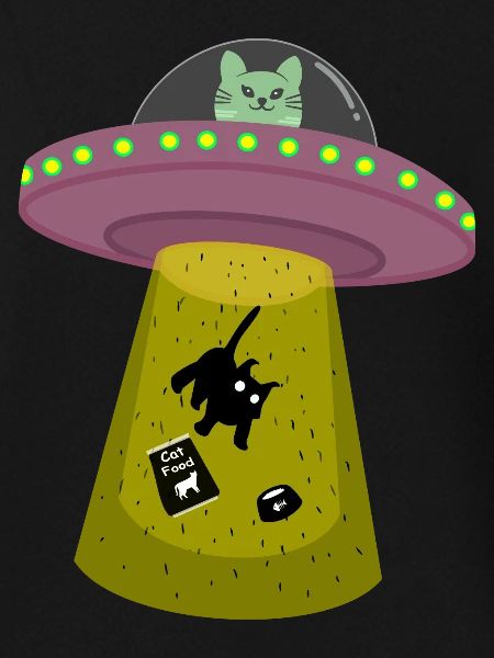 ufo cat