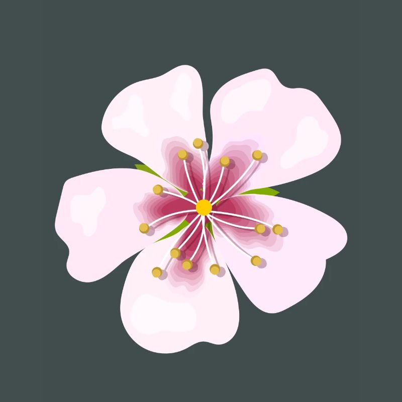Blüte