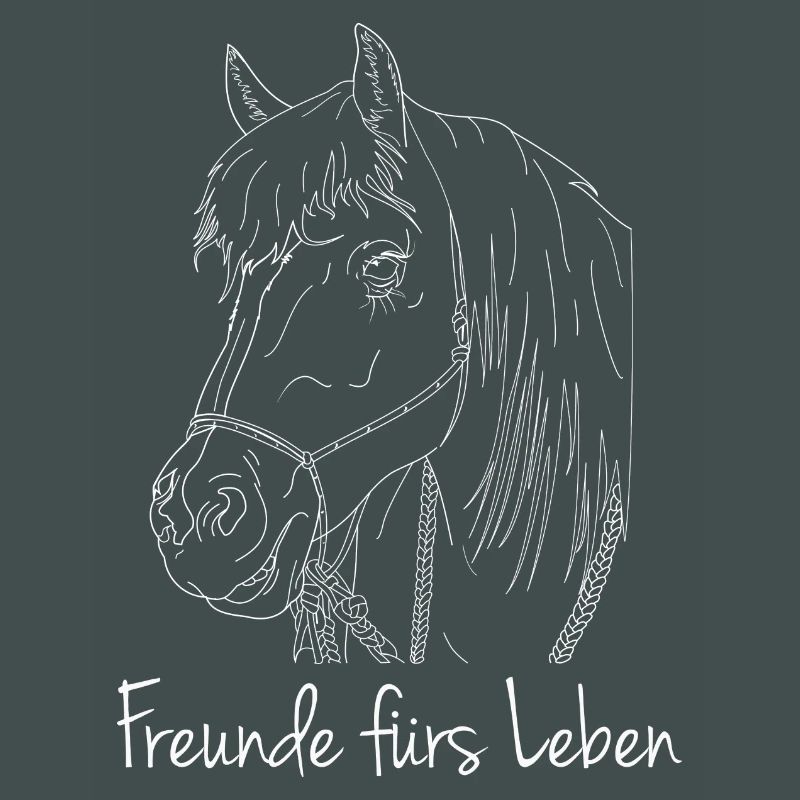 Freunde fürs Leben Haflinger Pferd
