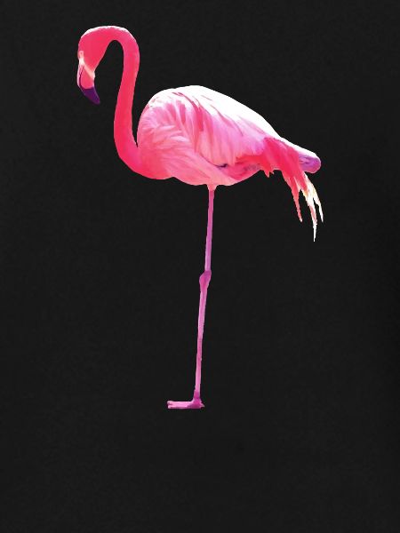 Pink Flamingo