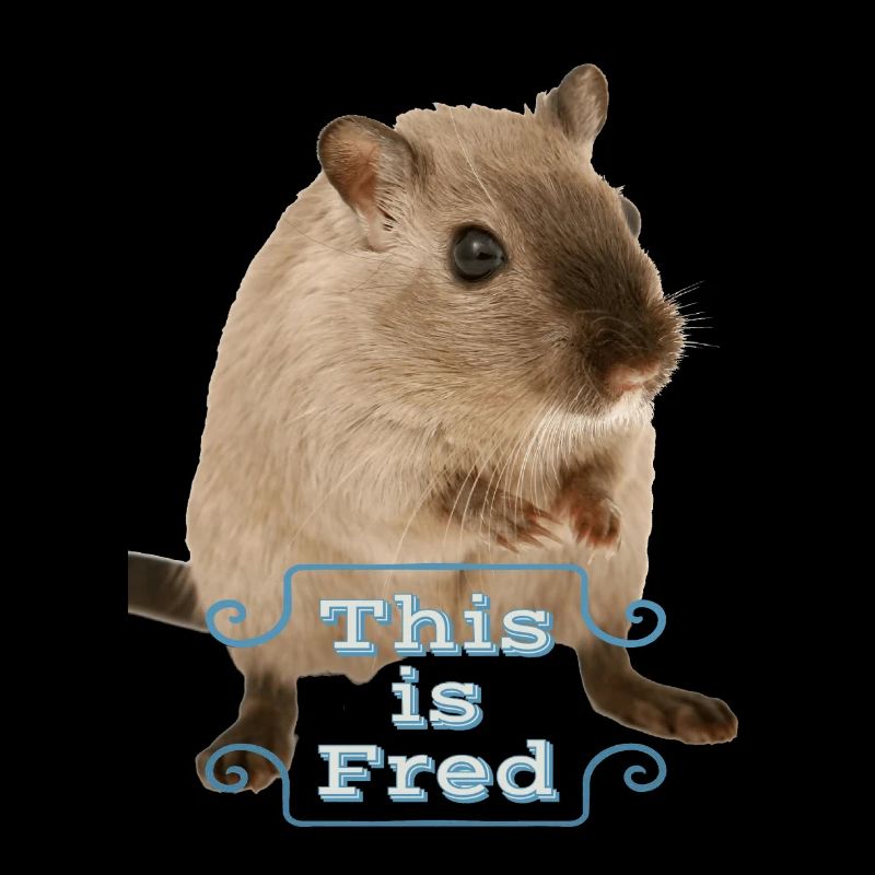 This is fred lustiges süßes maus geschenk idee