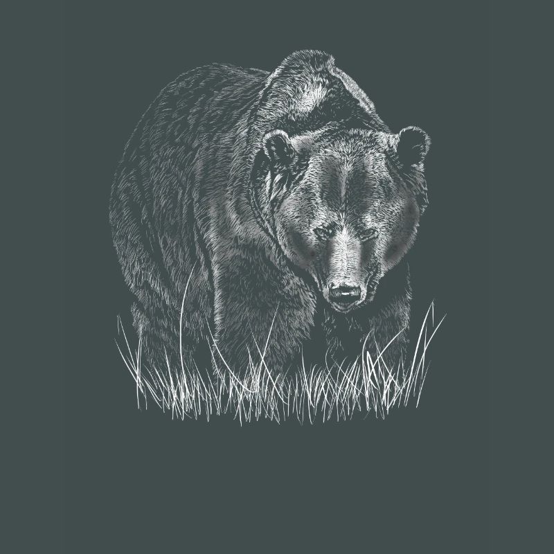 Bär
