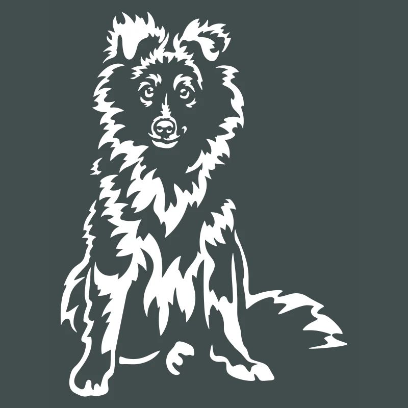 Sheltie « Édition Noire »