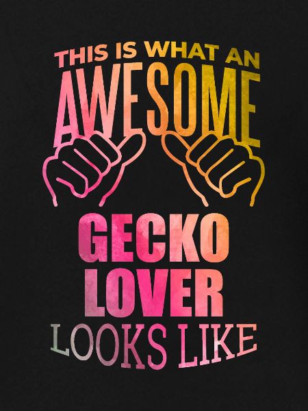 Gecko Gecko Gecko