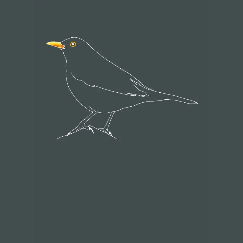 Amsel