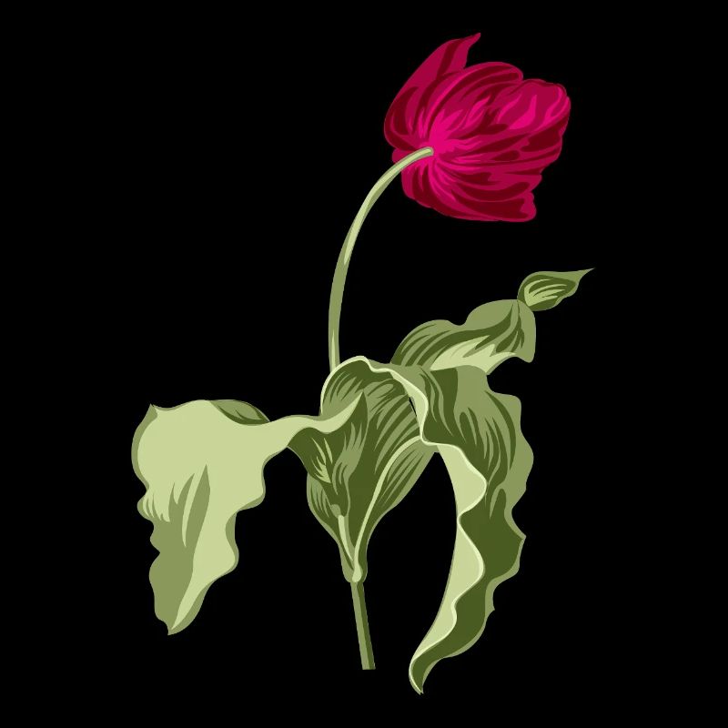 Elegante Tulpe-Illustration