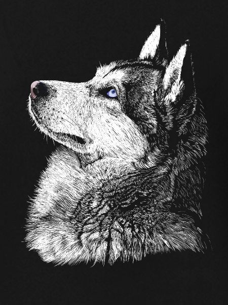 Husky