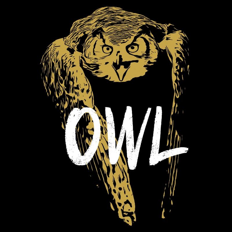 Modern Calligraphy Owl Illustration