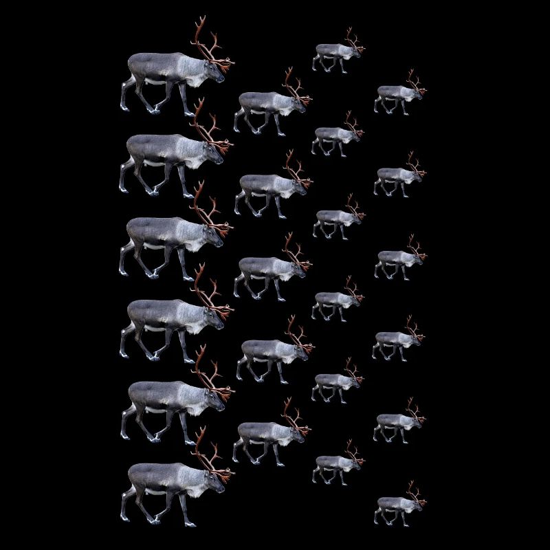 Reindeer