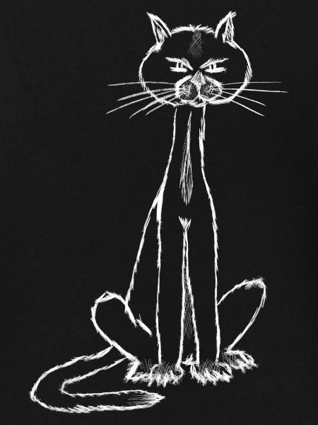 Ich bin der Kater….